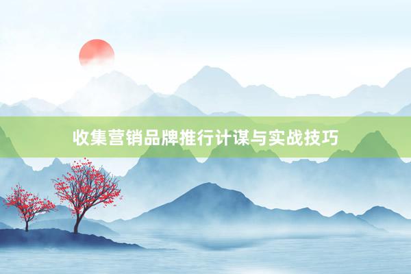 收集营销品牌推行计谋与实战技巧